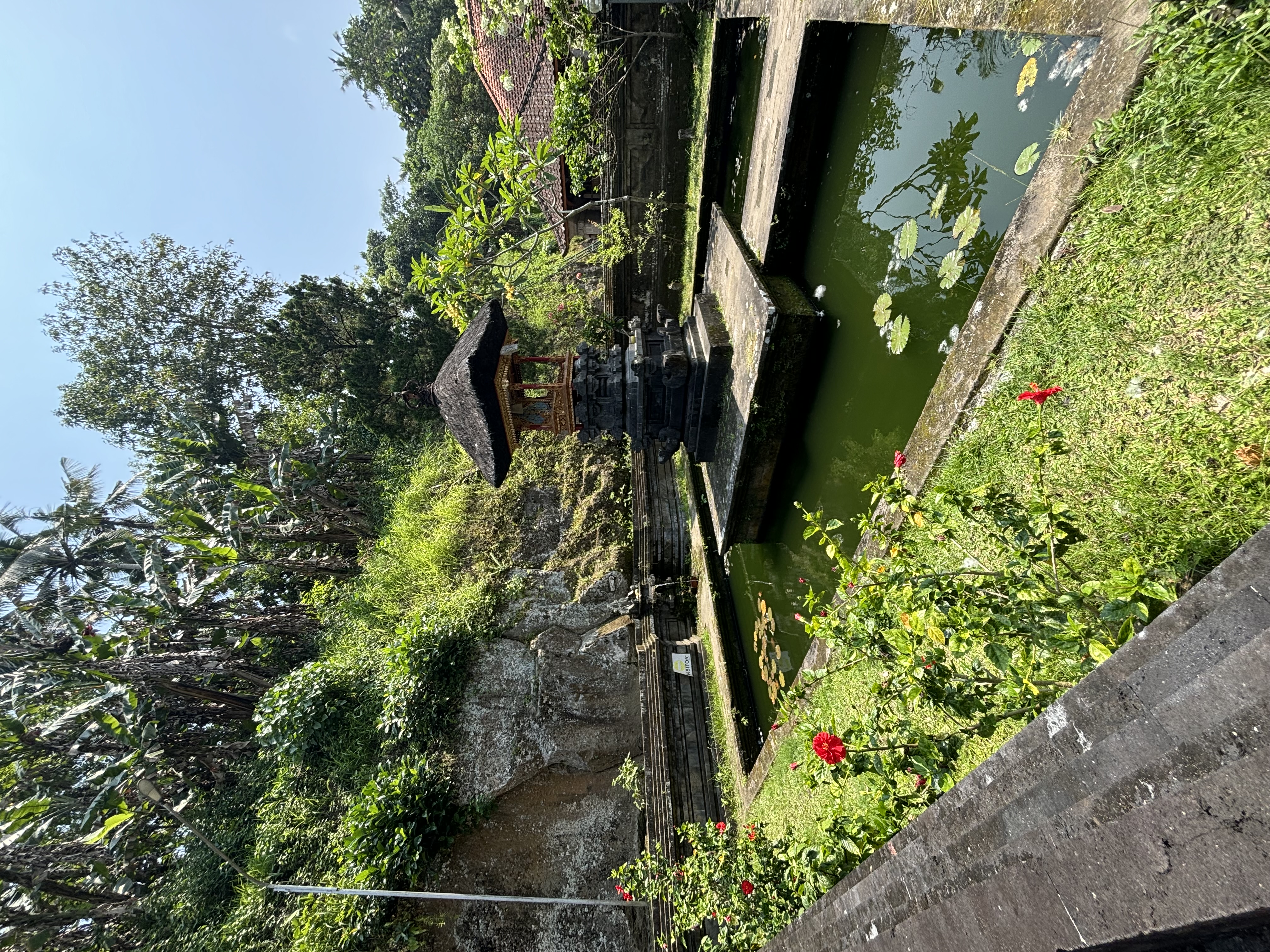 img 7009