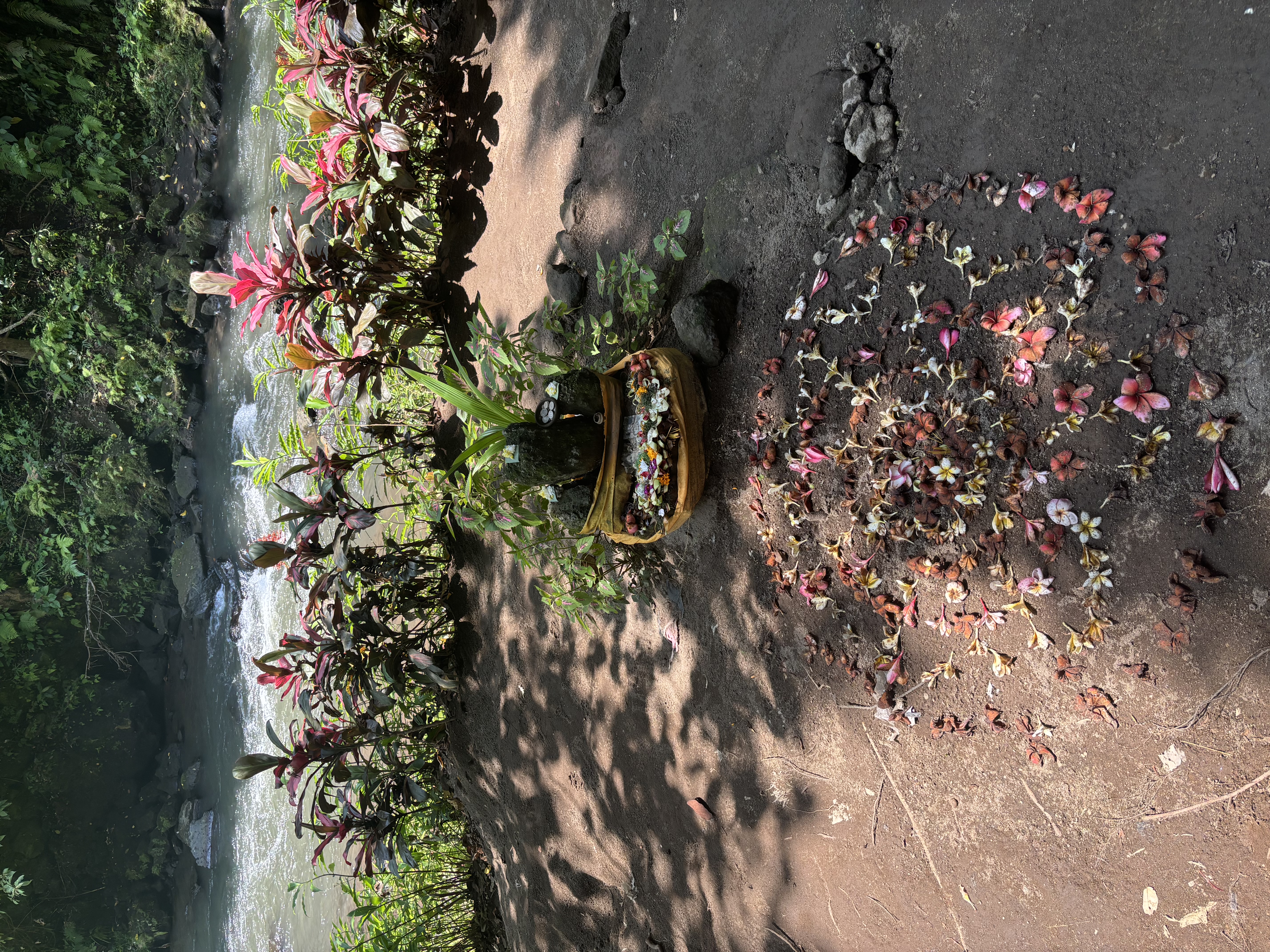 img 7087